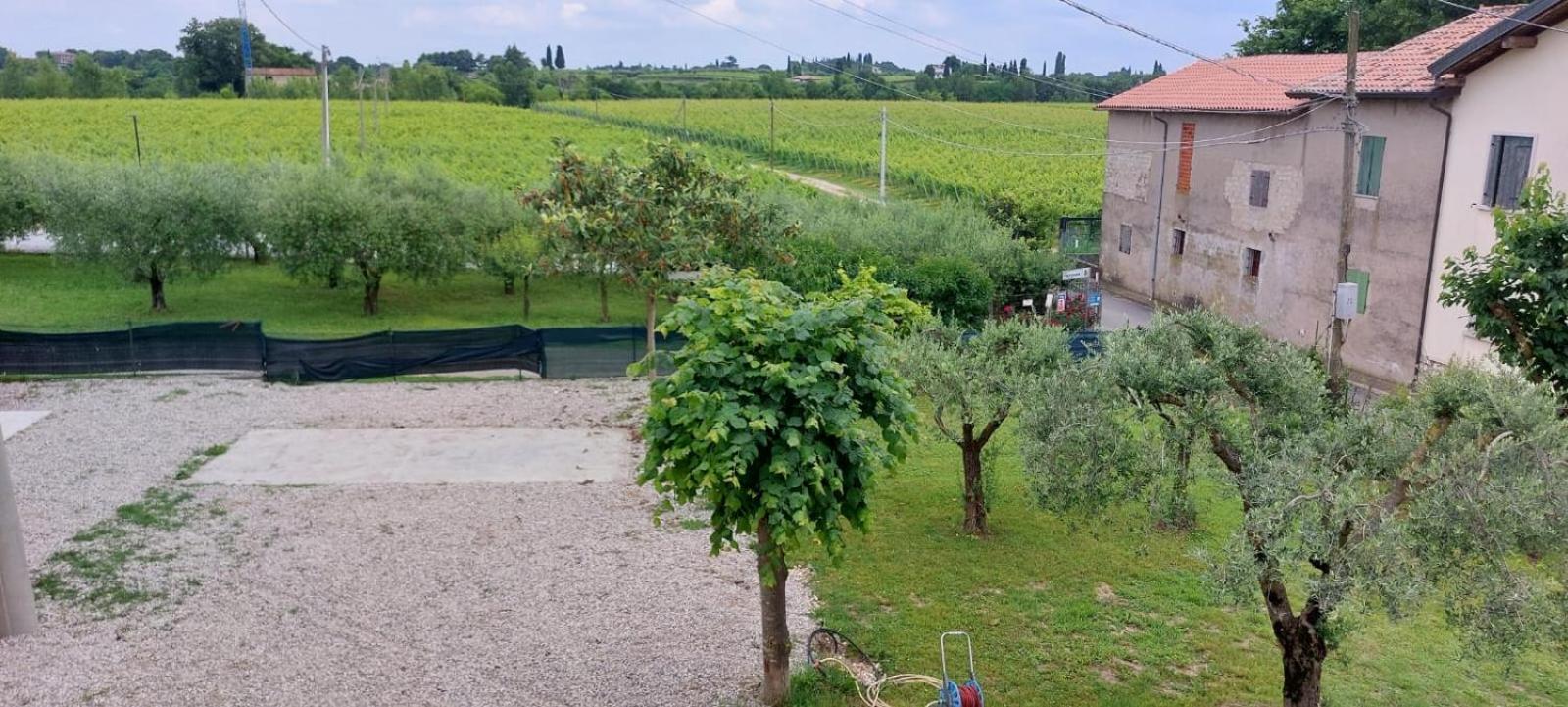 Ferienwohnung La Casa Di Sara Pacengo Di Lazise Exterior foto